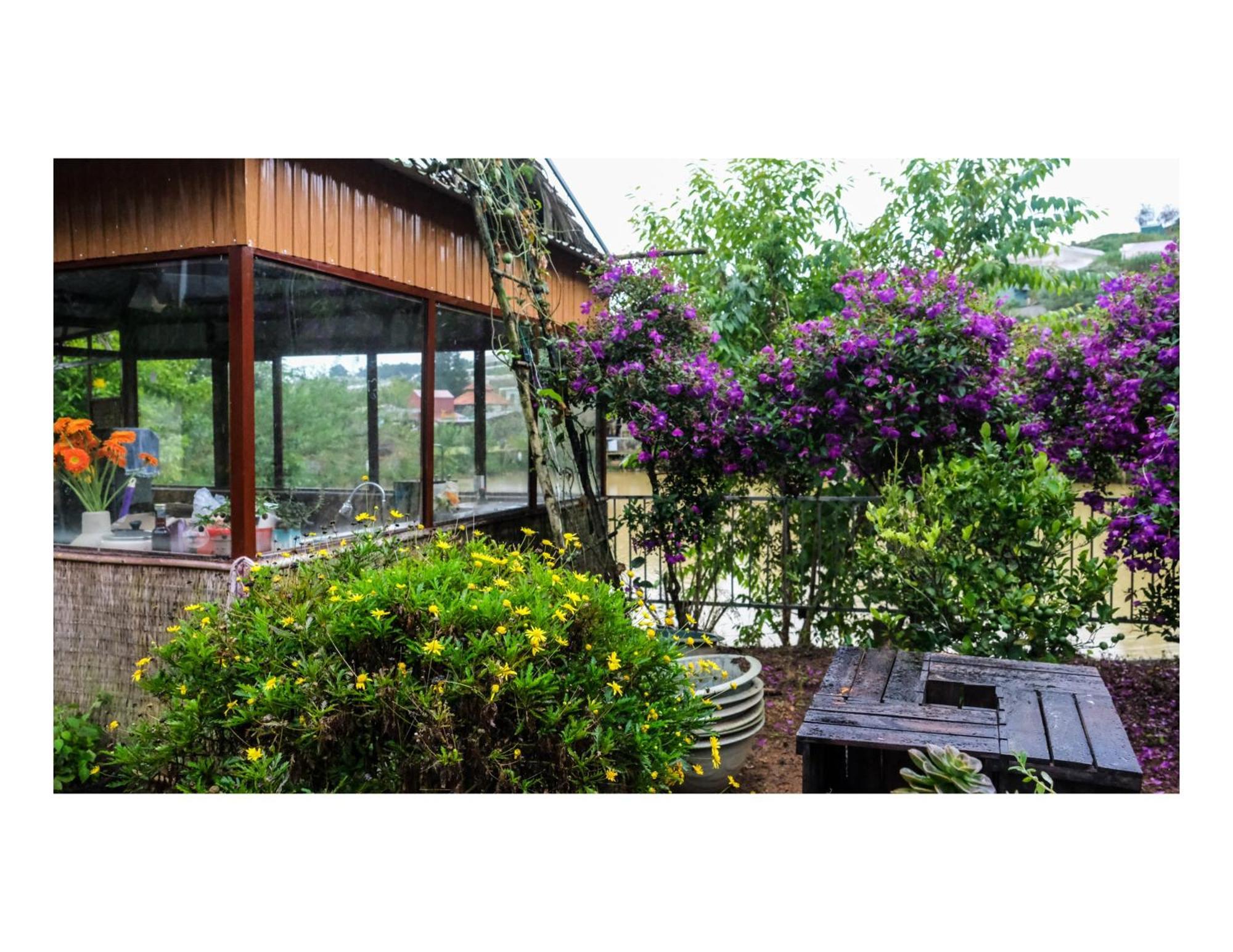 Nha Ben Ho - Da Lat Homestay エクステリア 写真