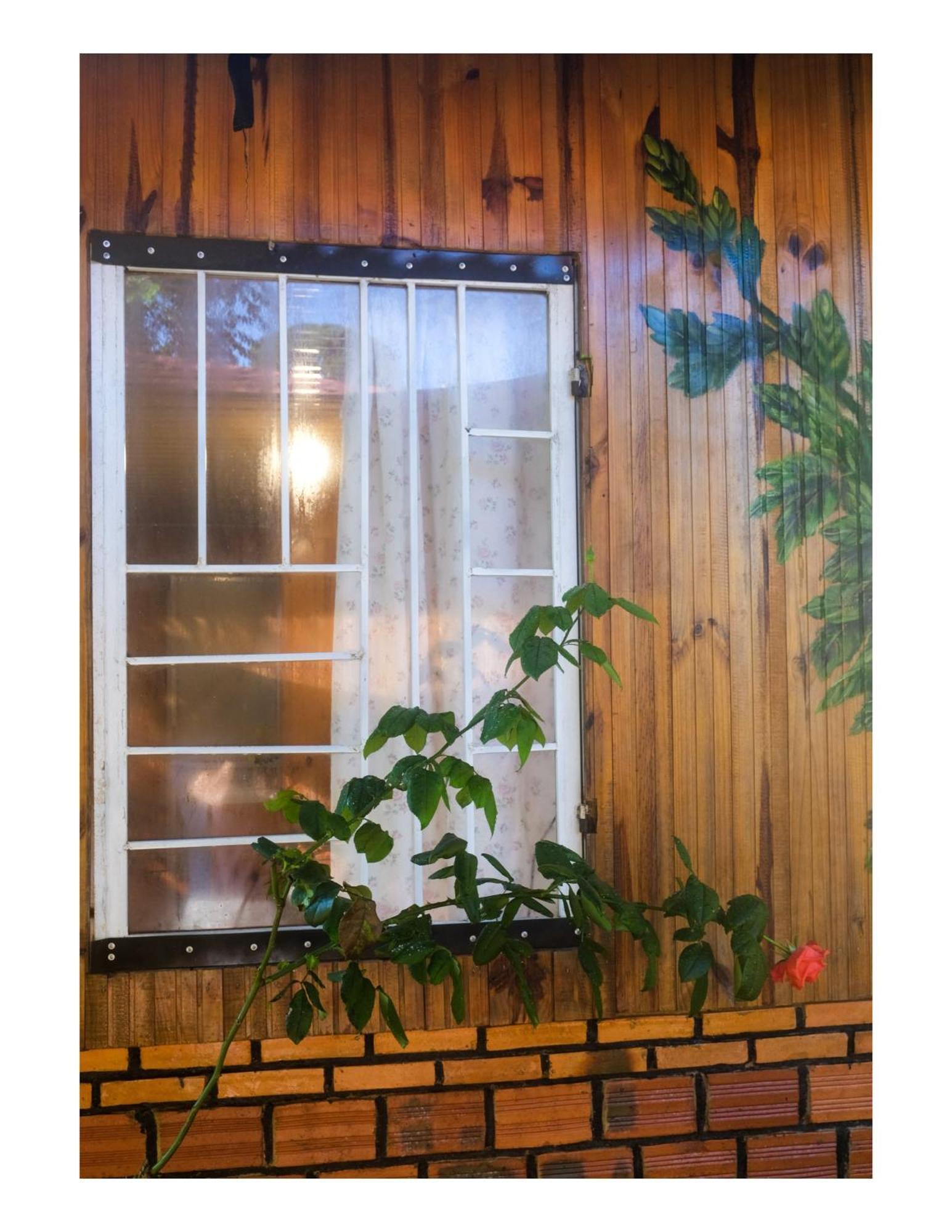 Nha Ben Ho - Da Lat Homestay エクステリア 写真