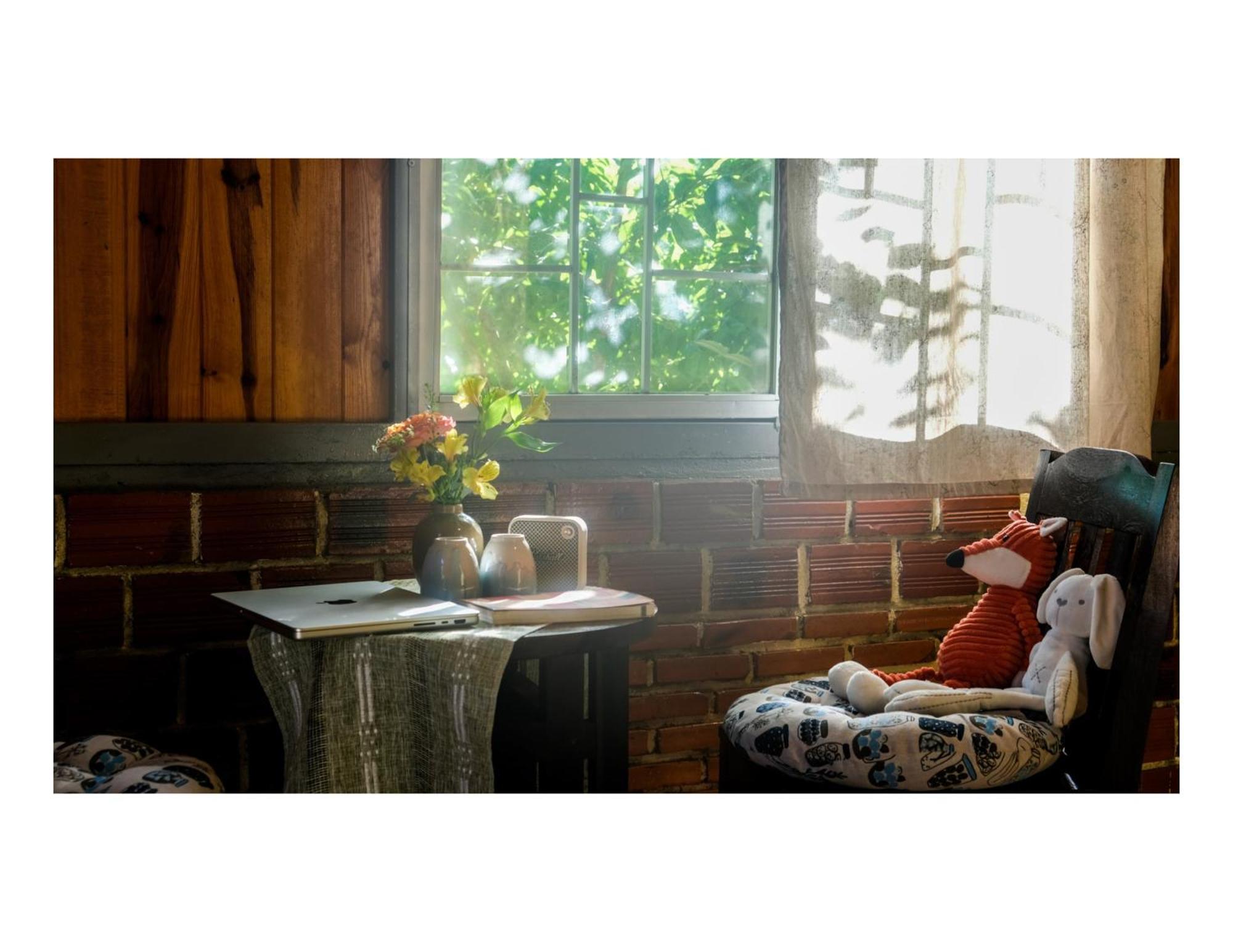 Nha Ben Ho - Da Lat Homestay エクステリア 写真