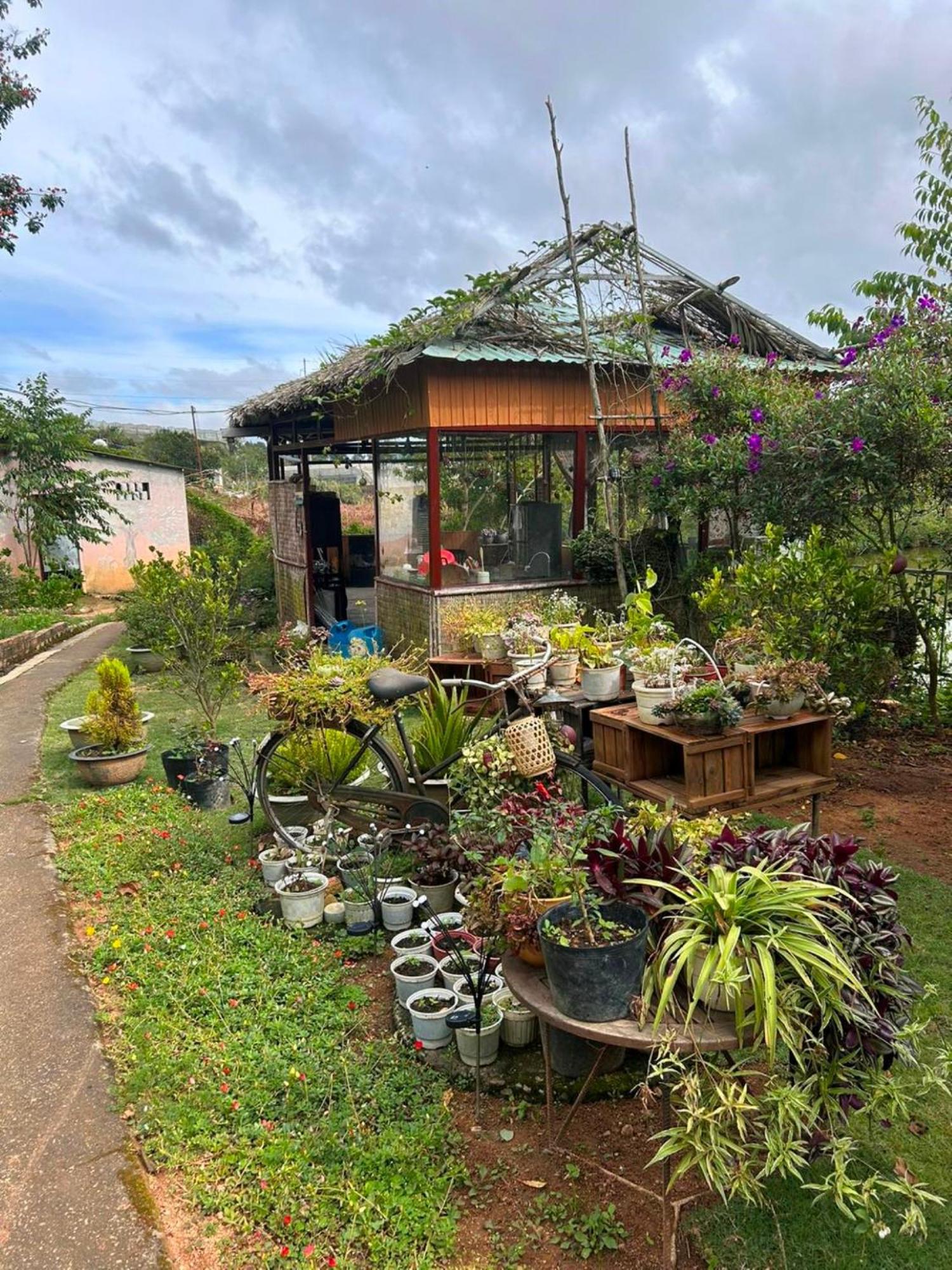 Nha Ben Ho - Da Lat Homestay エクステリア 写真
