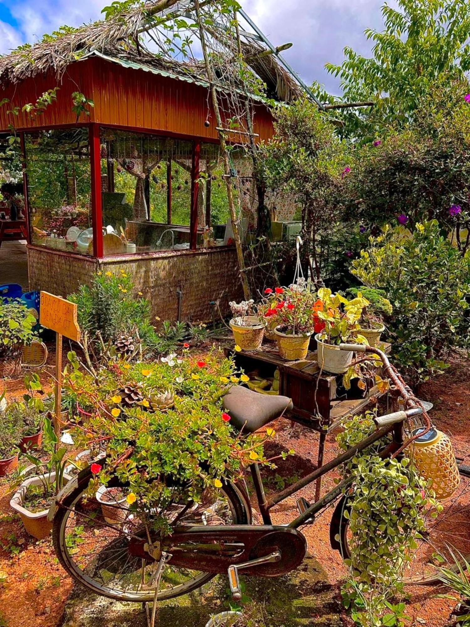 Nha Ben Ho - Da Lat Homestay エクステリア 写真