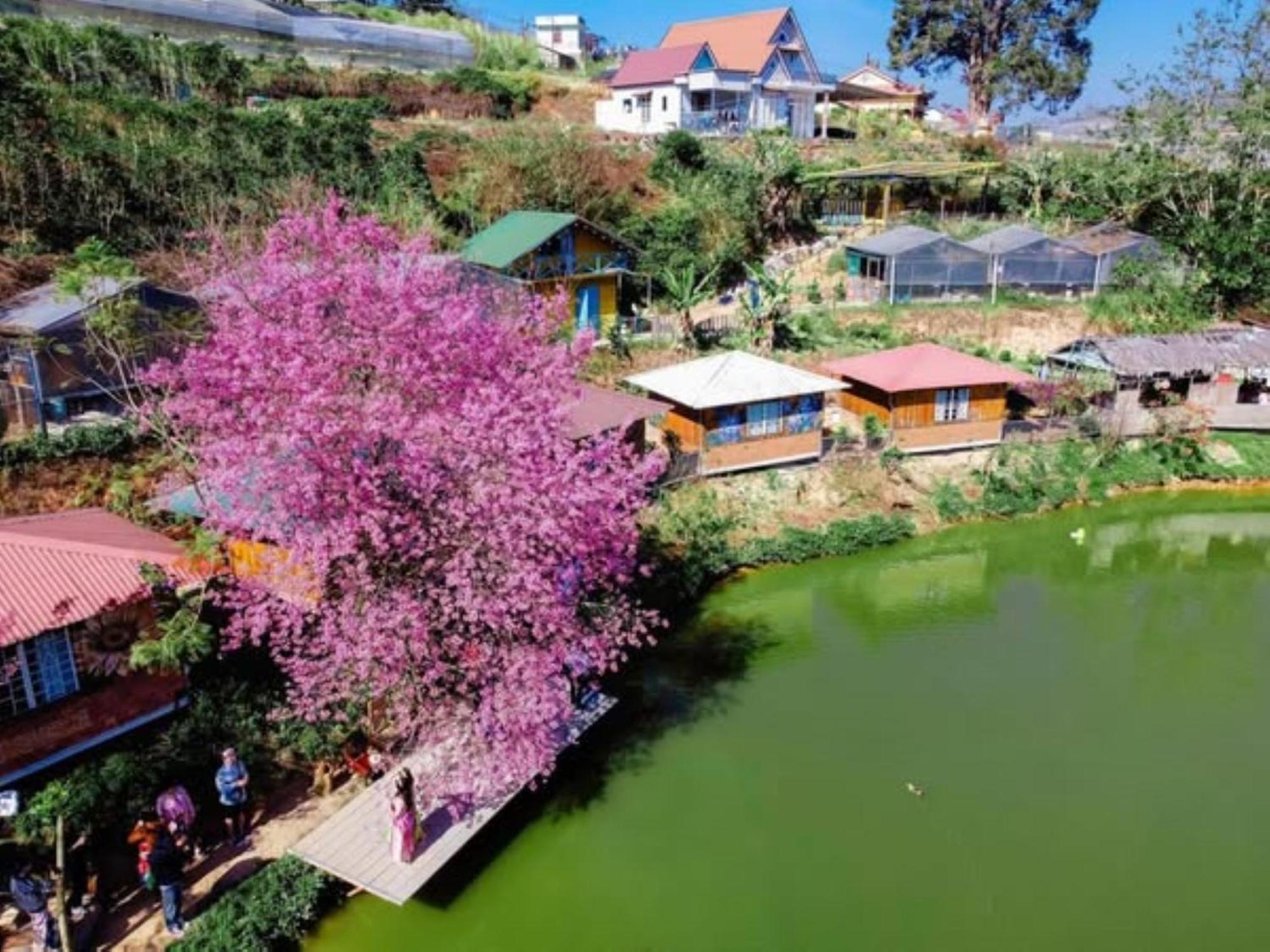 Nha Ben Ho - Da Lat Homestay エクステリア 写真