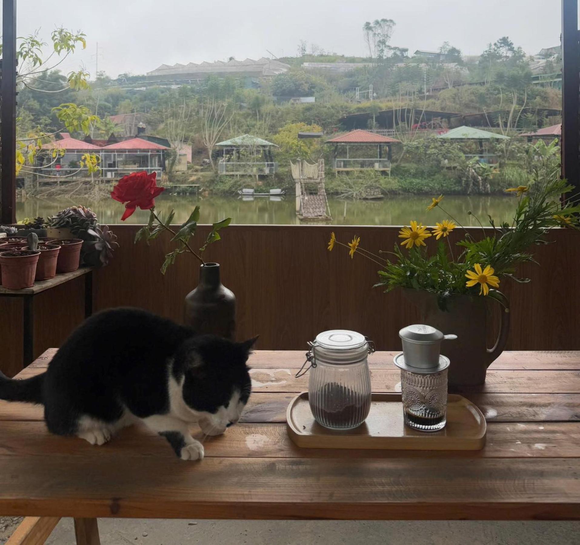 Nha Ben Ho - Da Lat Homestay エクステリア 写真