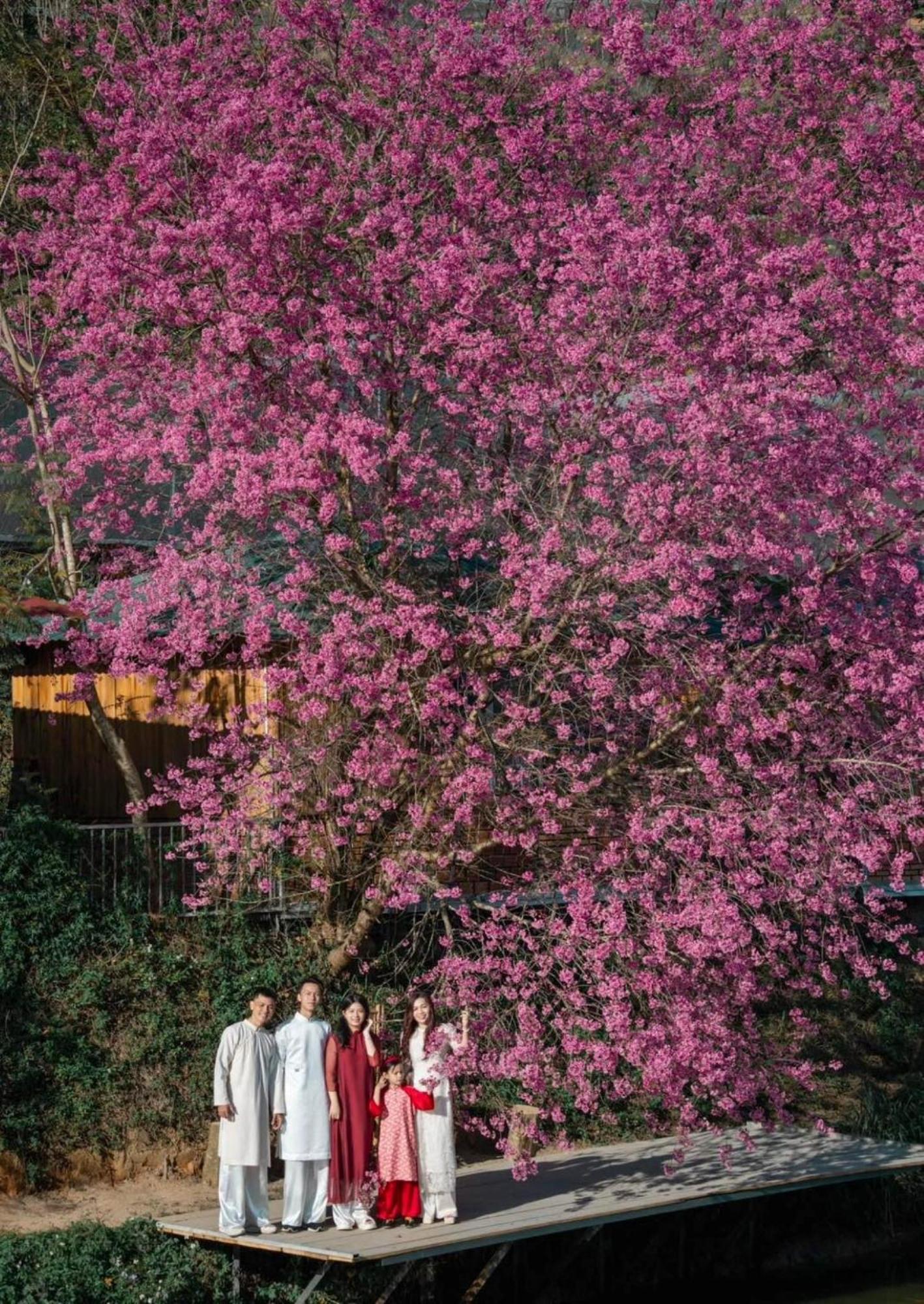 Nha Ben Ho - Da Lat Homestay エクステリア 写真