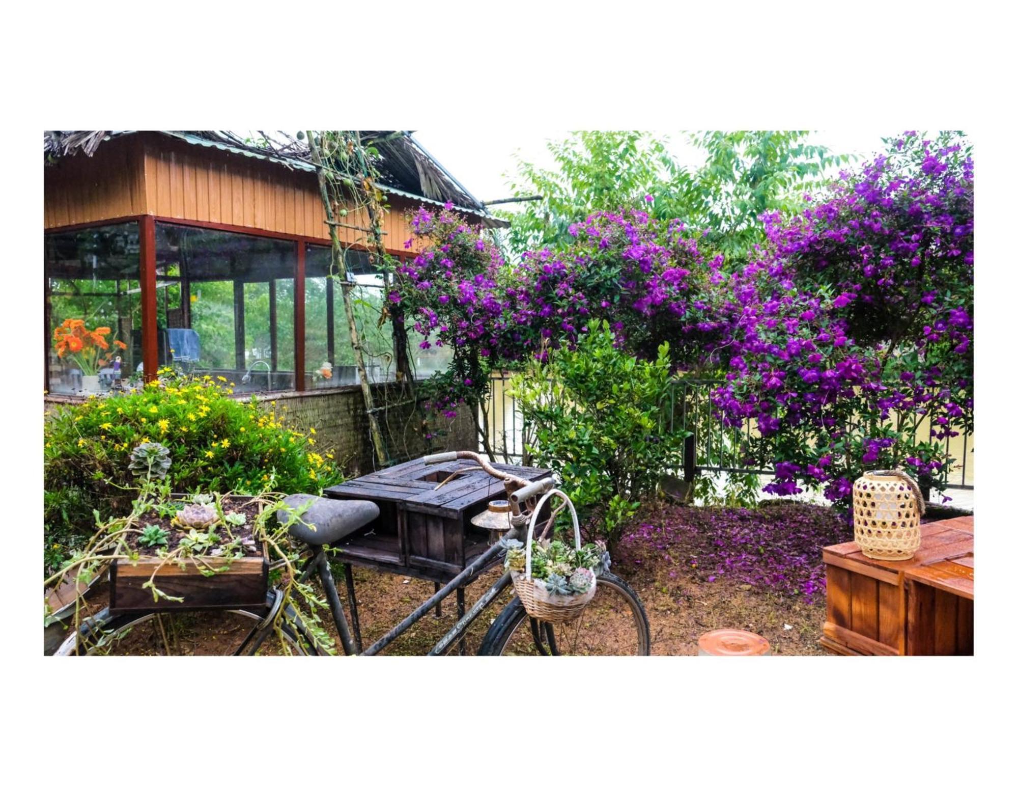 Nha Ben Ho - Da Lat Homestay エクステリア 写真